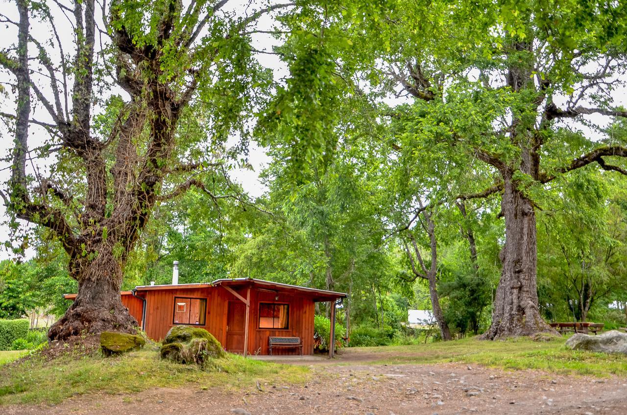 Отель Cabanas Aylen Пукон Номер фото